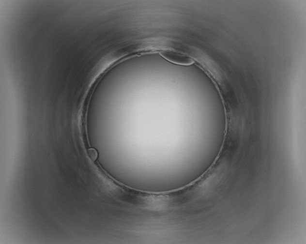 X0000111250893200907021429