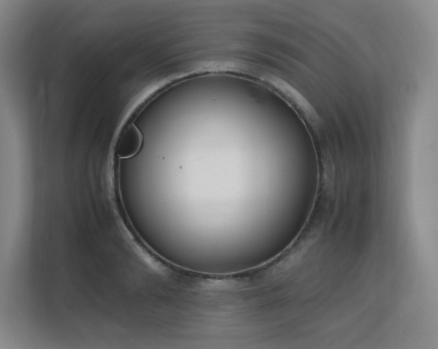 X0000111250894200907021429