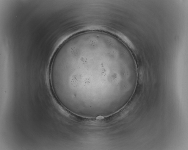 X0000111250895200907021429