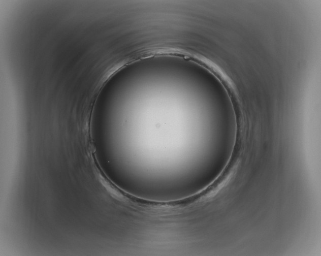 X0000111250897200907021429