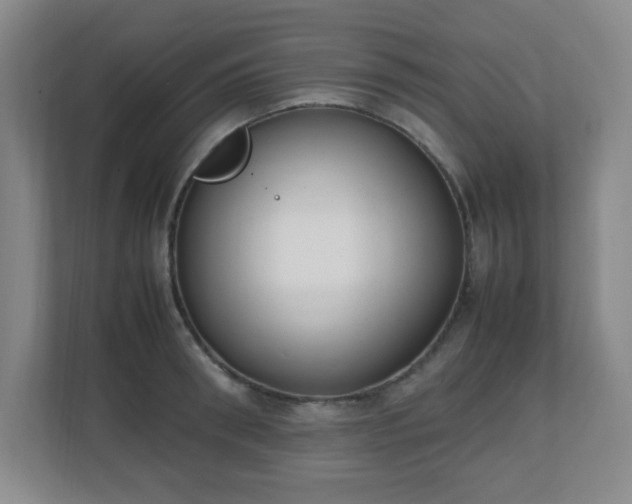 X0000111250898200907021429