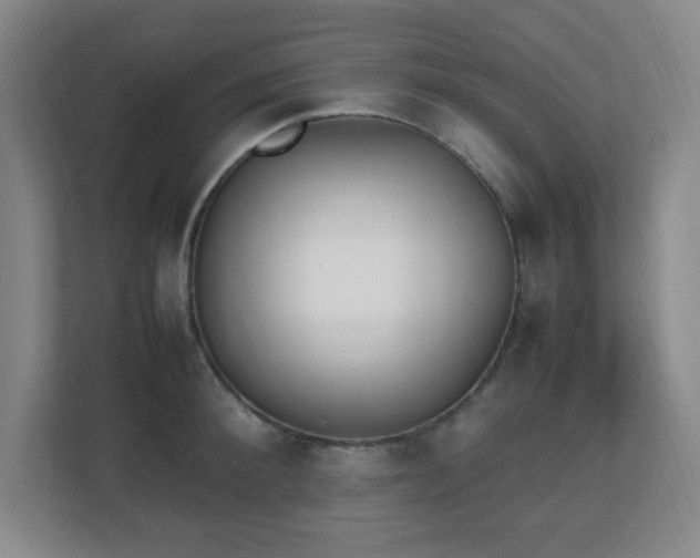 X0000111250900200907021429