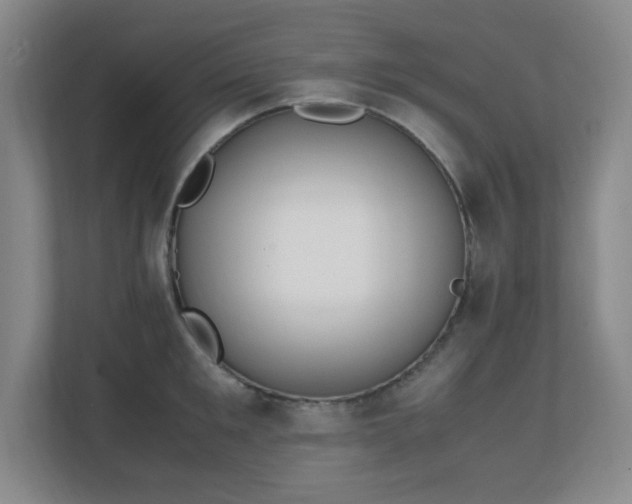 X0000111250901200907021429