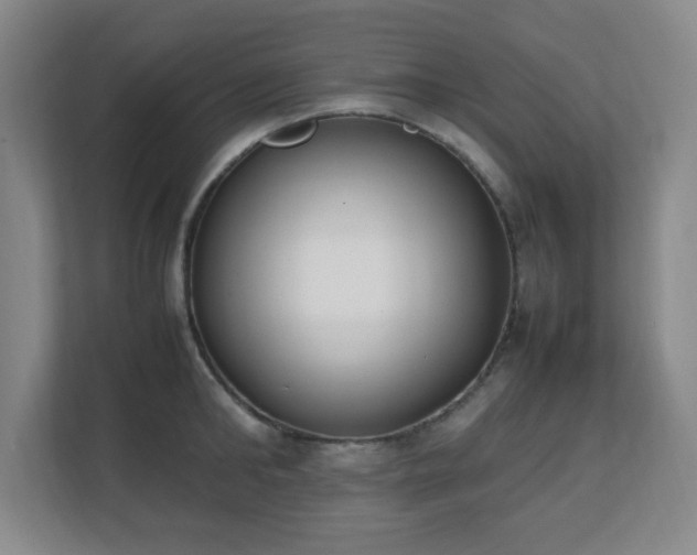 X0000111250902200907021429