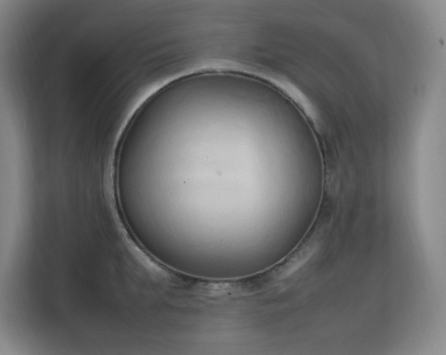 X0000111250903200907021429