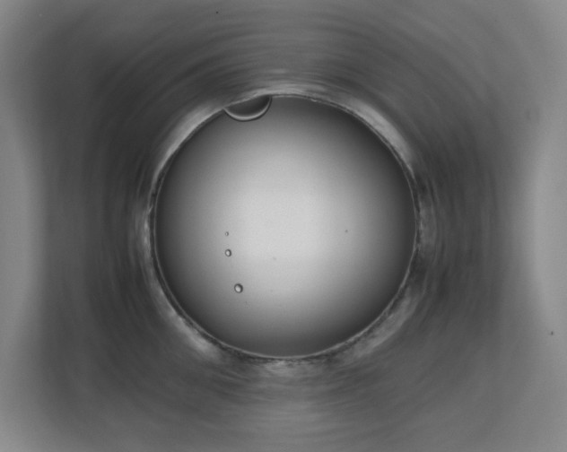 X0000111250906200907021429