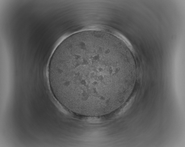 X0000111250907200907021429