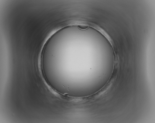 X0000111250909200907021429