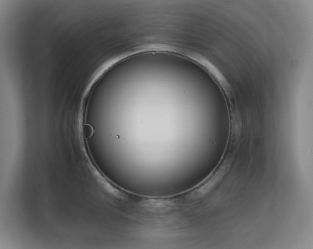 X0000111250910200907021429