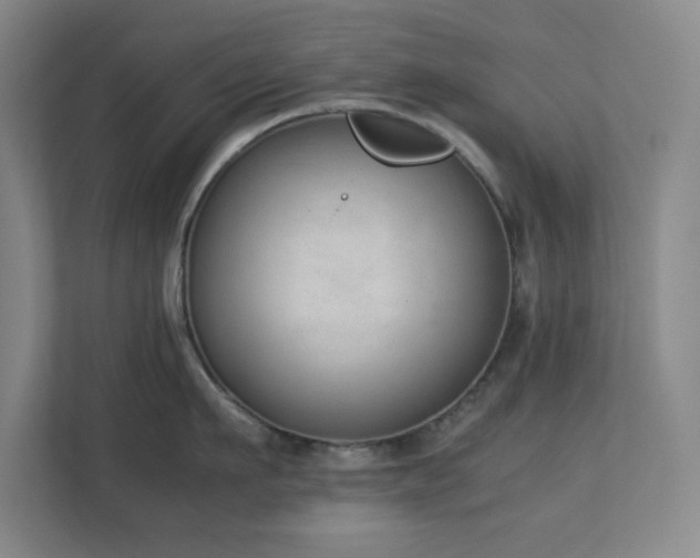 X0000111250911200907021429