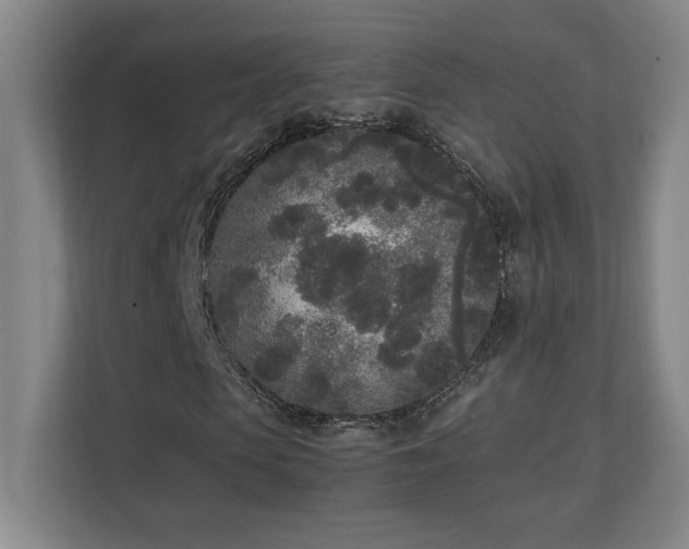 X0000111250913200907021428