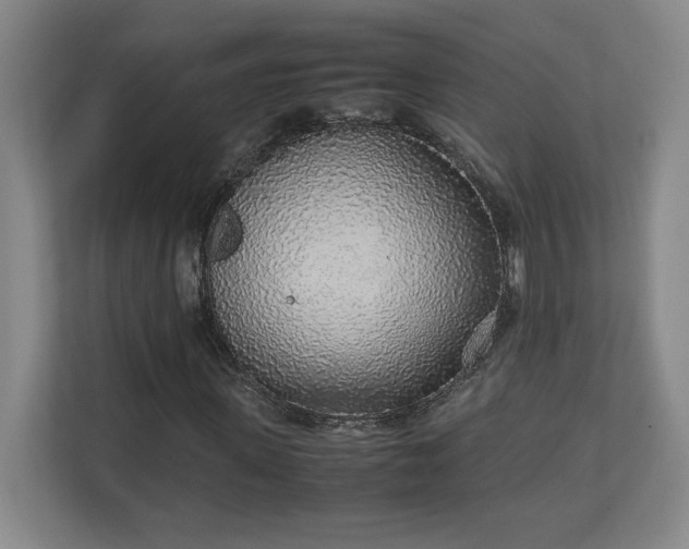 X0000111250915200907021428
