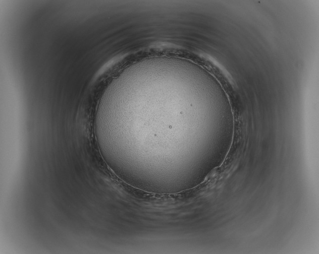 X0000111250919200907021428