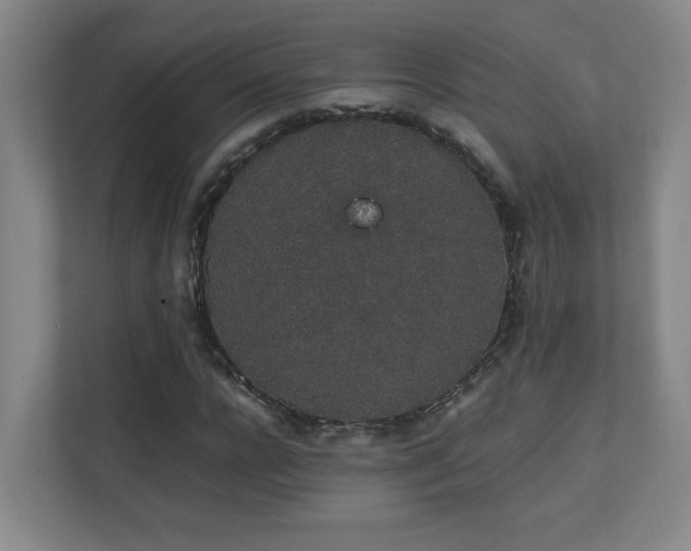 X0000111250920200907021428