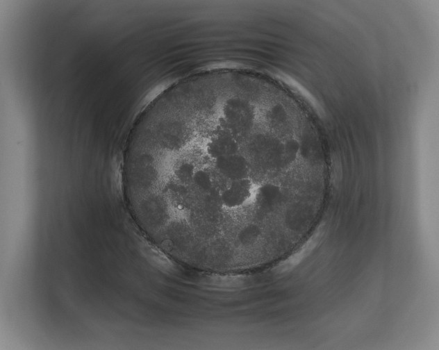 X0000111250921200907021428