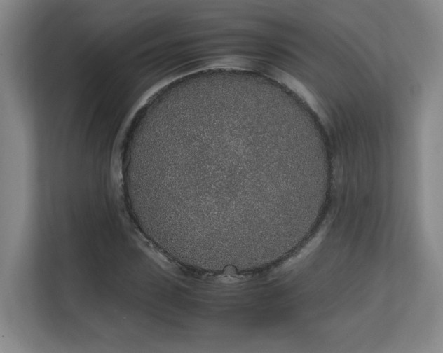 X0000111250923200907021428