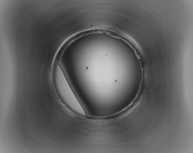 X0000111250924200907021428