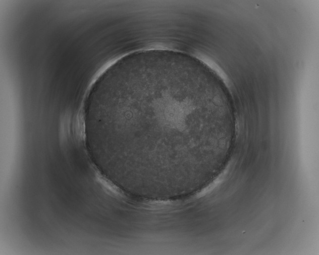 X0000111250925200907021428