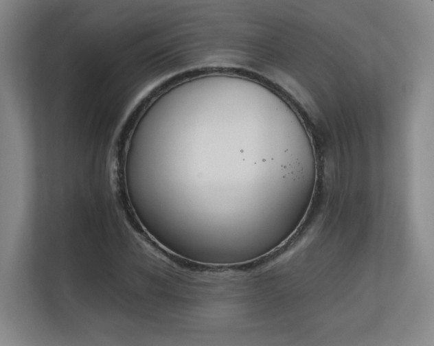X0000111250926200907021428