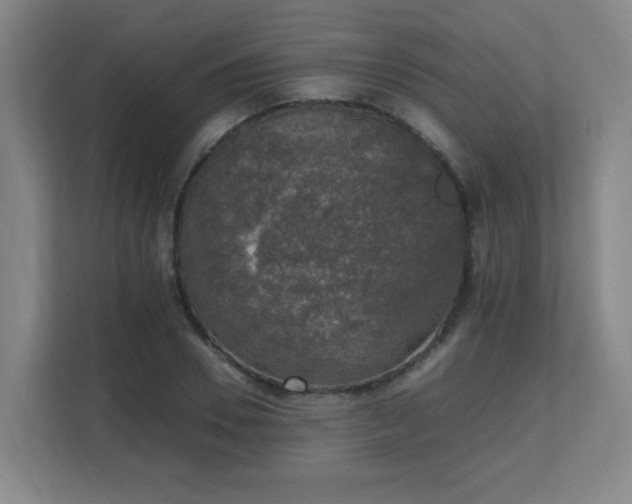 X0000111250930200907021428