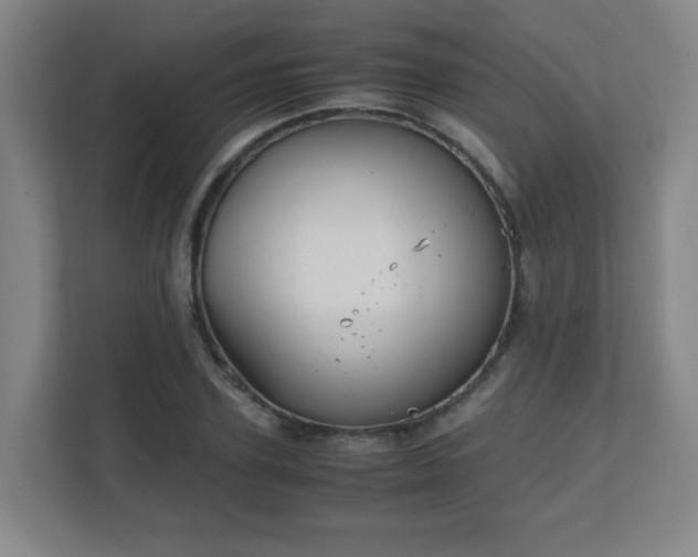 X0000111250931200907021428
