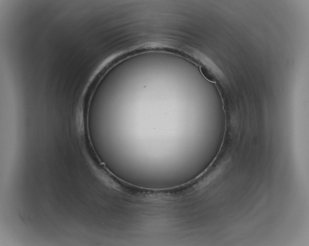 X0000111250934200907021428