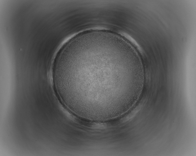 X0000111250935200907021428