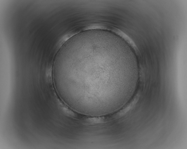 X0000111250937200907021428