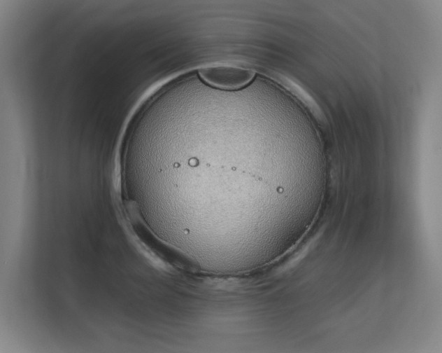 X0000111250940200907021428