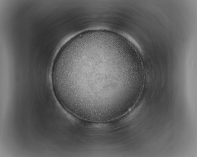X0000111250943200907021428
