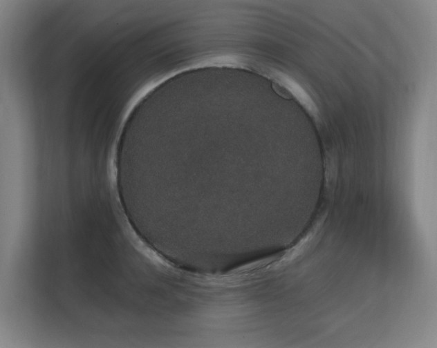 X0000111250944200907021428