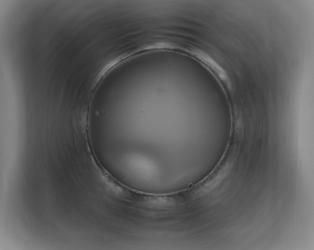 X0000111250945200907021428