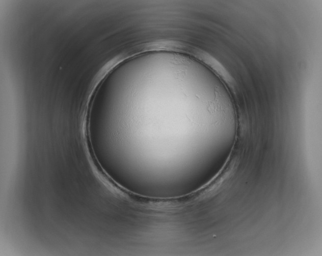 X0000111250946200907021428