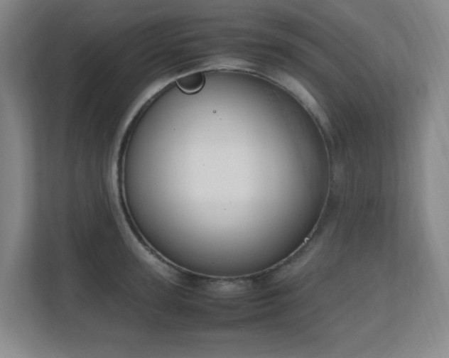 X0000111250947200907021428