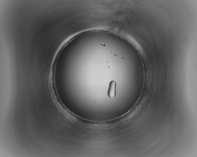 X0000111250948200907021428