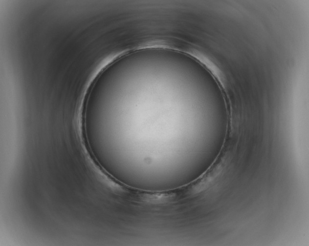X0000111250949200907021428