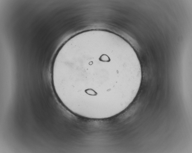 X0000111250950200907021428