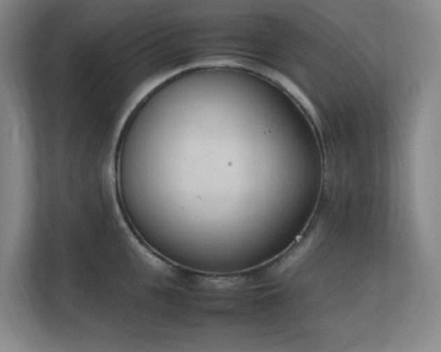 X0000111250951200907021428