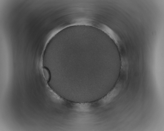 X0000111250952200907021428