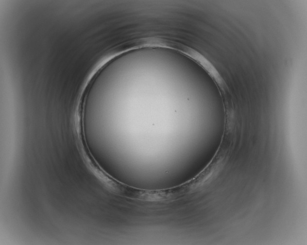 X0000111250955200907021428