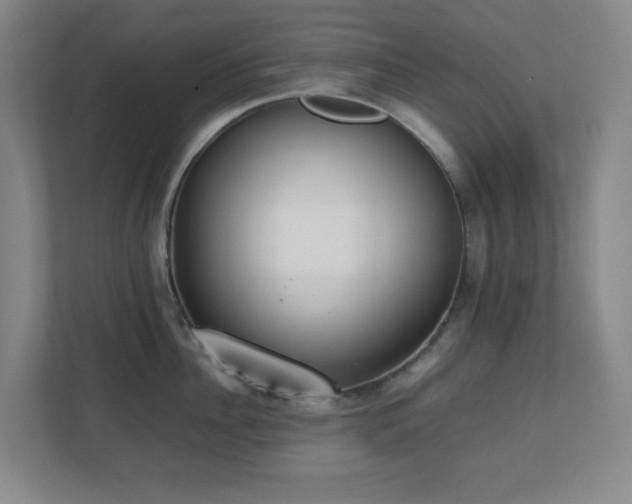 X0000111250956200907021428