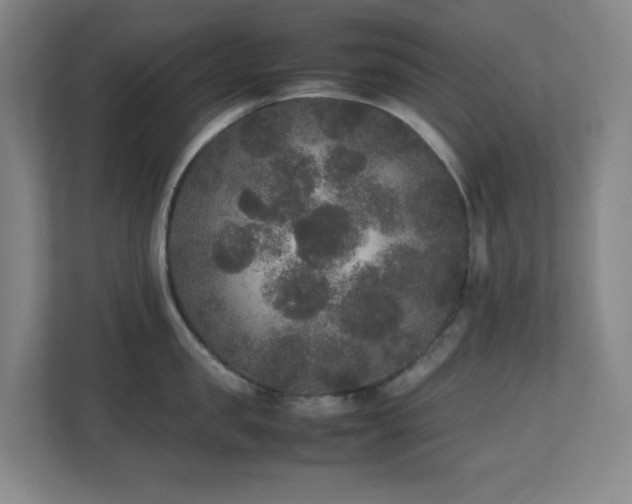 X0000111250957200907021428
