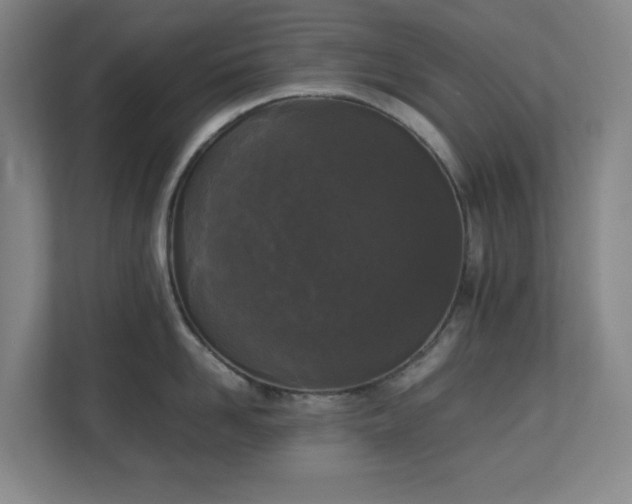 X0000111250958200907021428