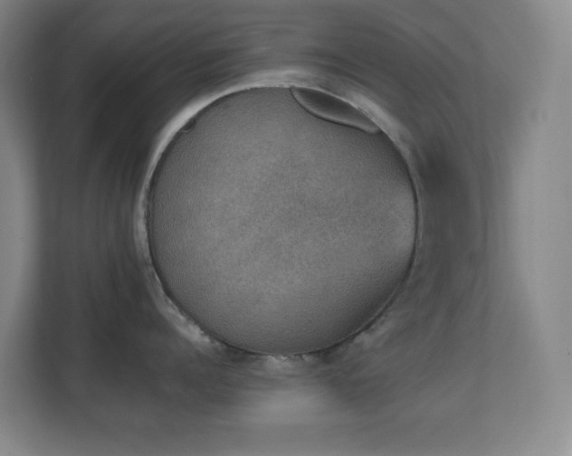 X0000111250960200907021429