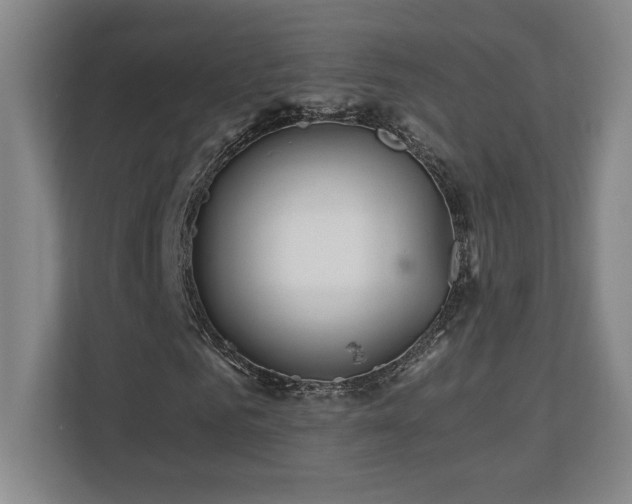X0000111250961200907021428