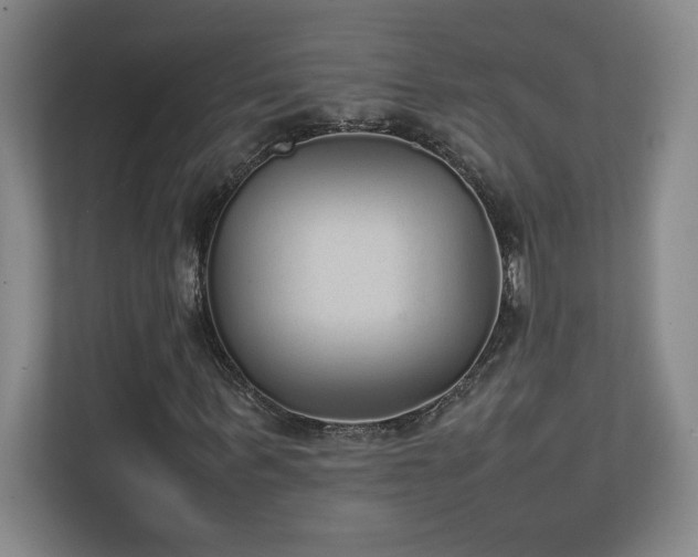 X0000111250963200907021428