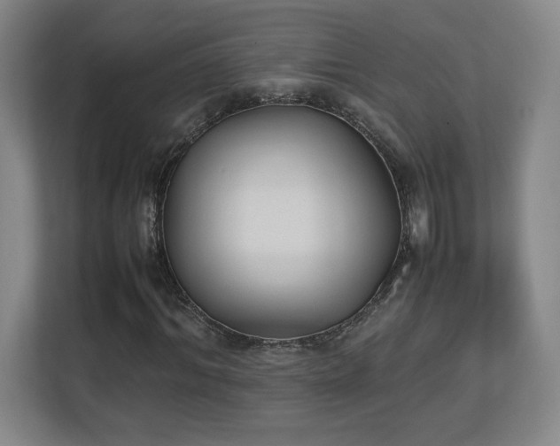 X0000111250964200907021428