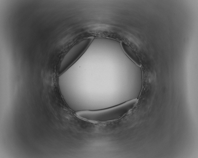 X0000111250965200907021428