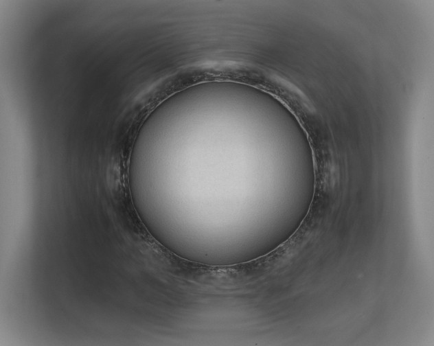 X0000111250966200907021428