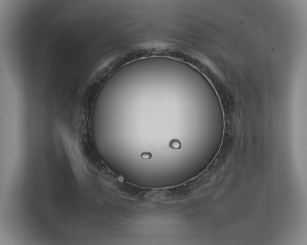 X0000111250967200907021428